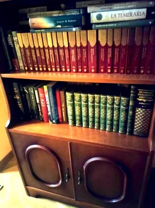 LIBRERIA IN LEGNO. Scaffali, libri, televisione