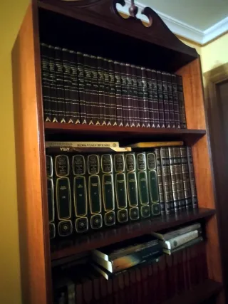 LIBRERIA IN LEGNO. Scaffali, libri, televisione