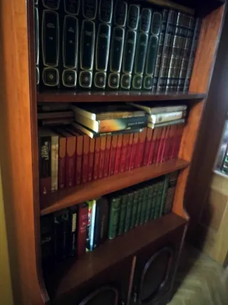 LIBRERIA IN LEGNO. Scaffali, libri, televisione