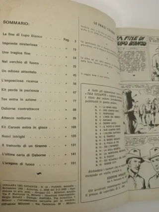 Tex n. 19 - La Fine di Lupo Bianco