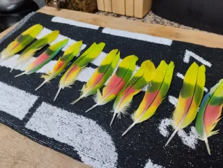 Plumas de loro decorativas