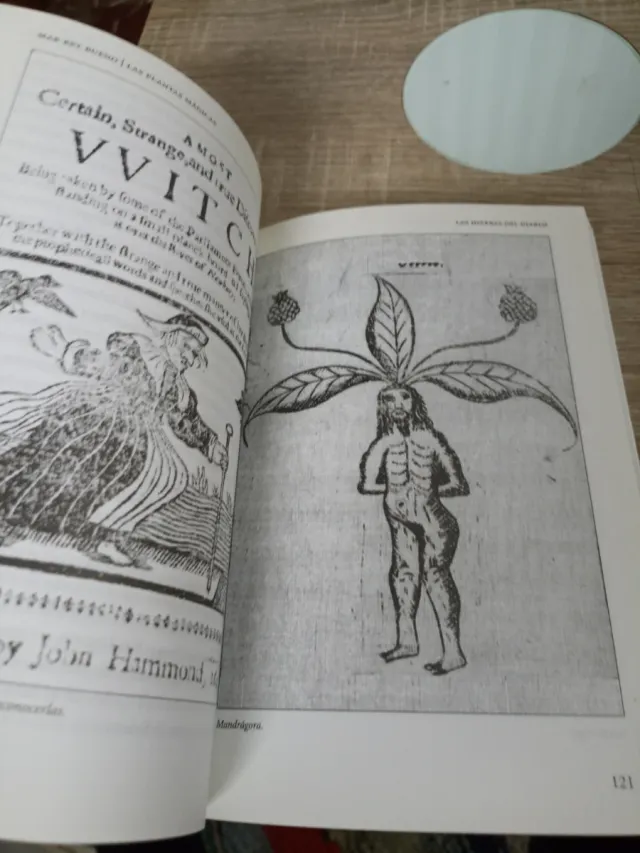 Las plantas mágicas sus propiedades desconocida...