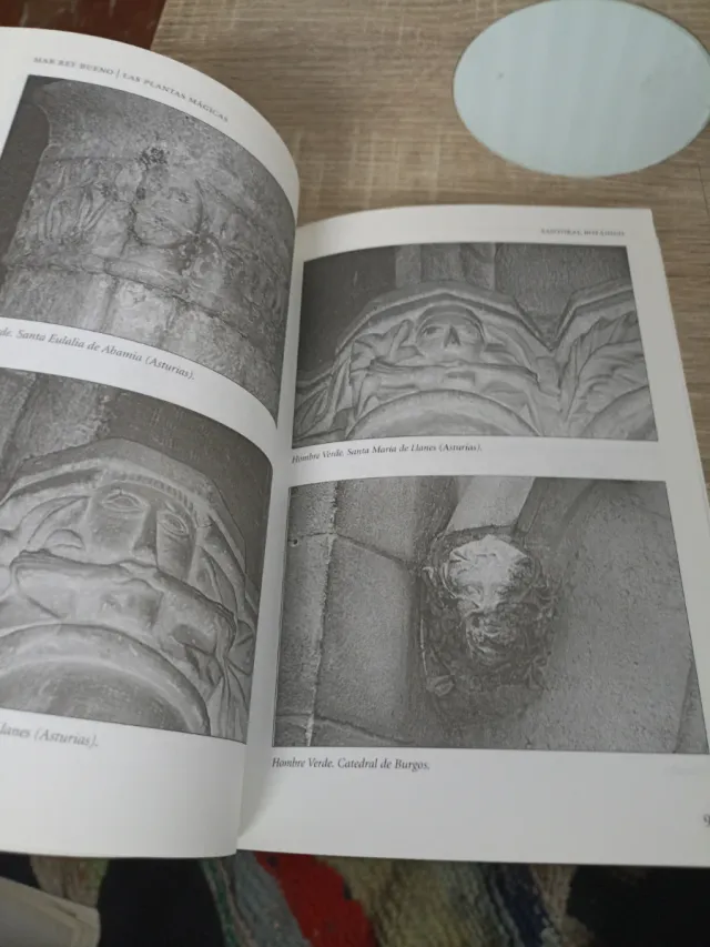 Las plantas mágicas sus propiedades desconocida...