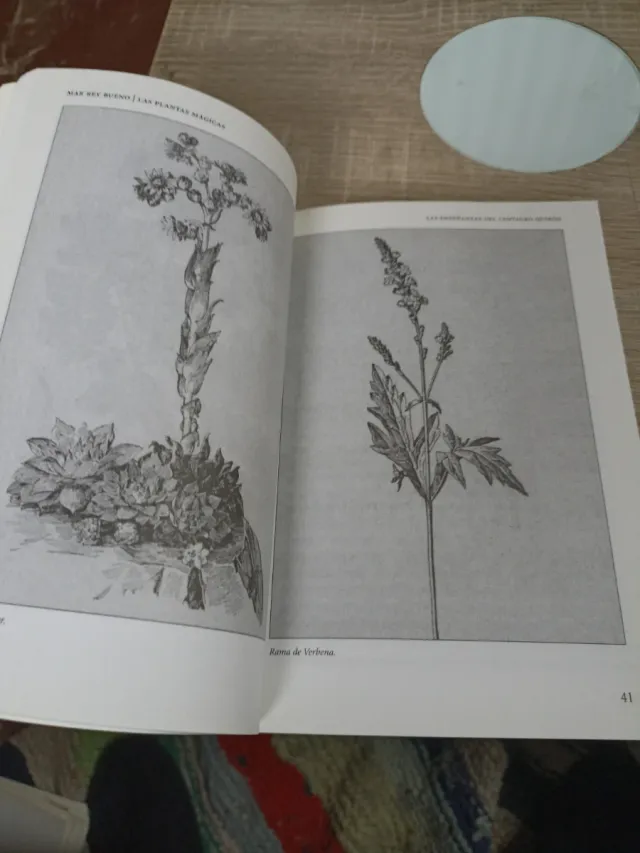 Las plantas mágicas sus propiedades desconocida...