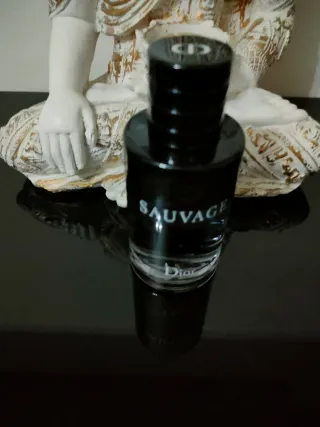 EAU DE TOILETTE SAUVAGE DIOR