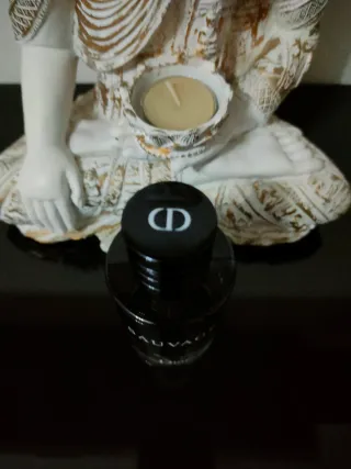 EAU DE TOILETTE SAUVAGE DIOR