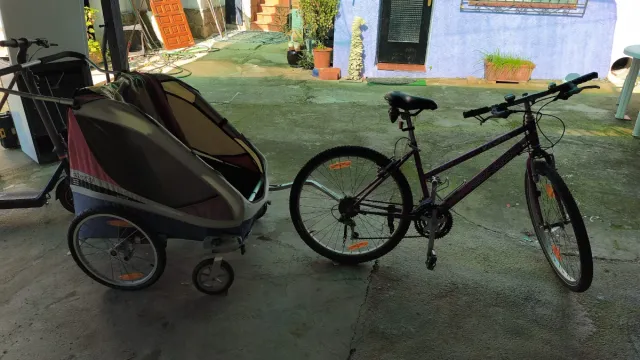 Bicicleta con carrito para niños