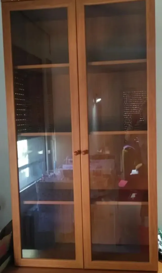 Armario de madera y cristal