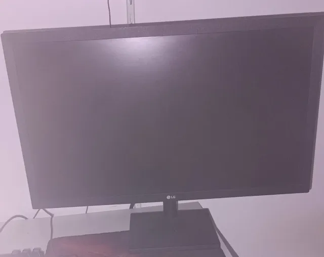 Monitor LG 60Hz HDMI/VGA Negro