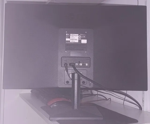 Monitor LG 60Hz HDMI/VGA Negro