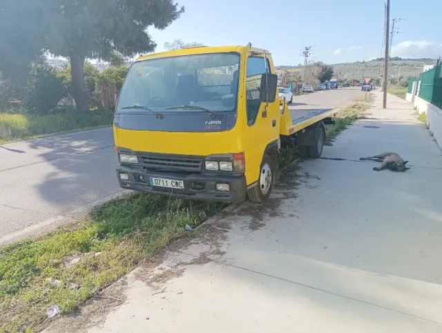 Servicio de grua porte vehículos