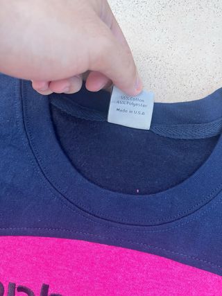 Sudadera Carhartt Azul y Rosa