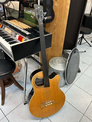 Warwick Basso Elettrificato Fretless