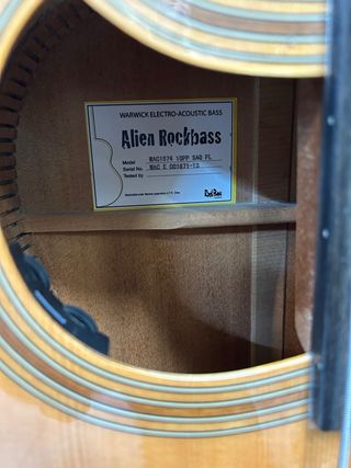 Warwick Basso Elettrificato Fretless