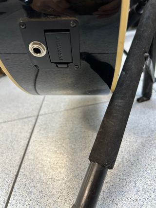 Warwick Basso Elettrificato Fretless