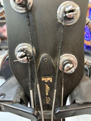 Warwick Basso Elettrificato Fretless