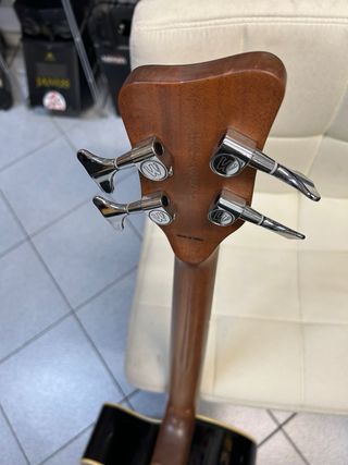 Warwick Basso Elettrificato Fretless