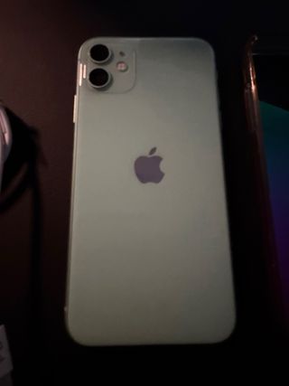 iPhone 11 con funda y cable PD