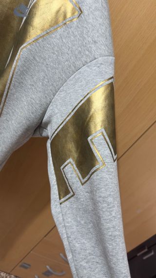 Sudadera Nike Logo Dorado Gris