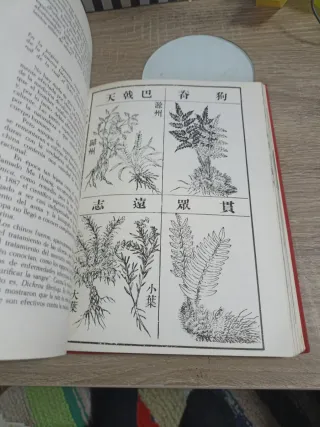 El Alba De La Medicina