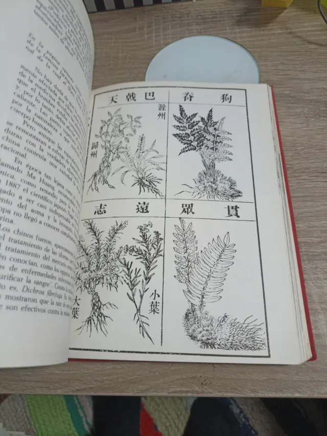 El Alba De La Medicina