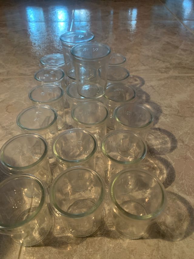 Vasos de postre con tapa de plástico