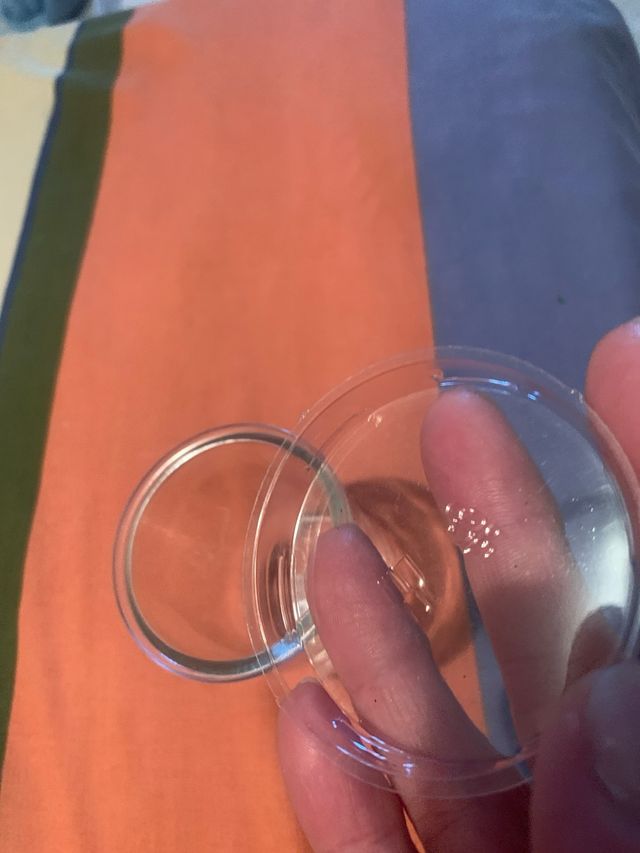 Vasos de postre con tapa de plástico