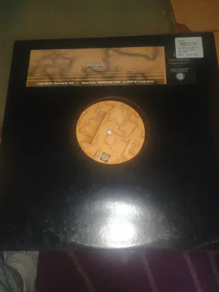 Vinilo I Like Chopin - Book