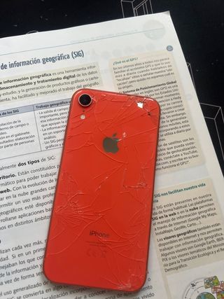 iPhone XR Rosso