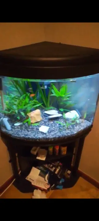 Pecera esquinera con mueble