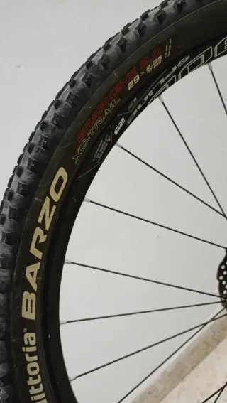 Orbea Alma Carbono MTB