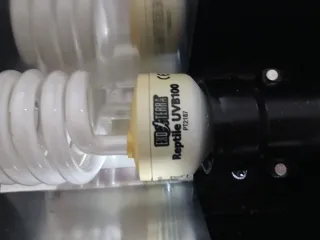 Lampada Rettili Nero/Bianco