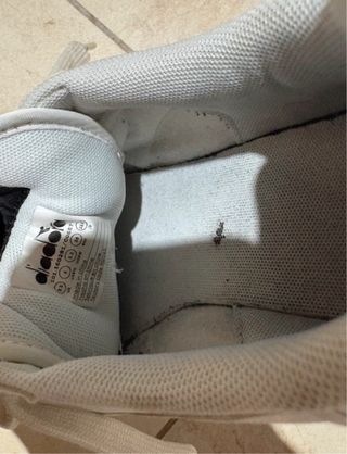 Scarpe Diadora bianche uomo/donna