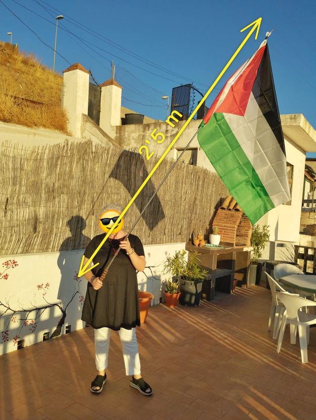 Asta Mástil para bandera 250 cm