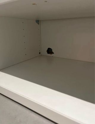 Mueble bajo blanco TV