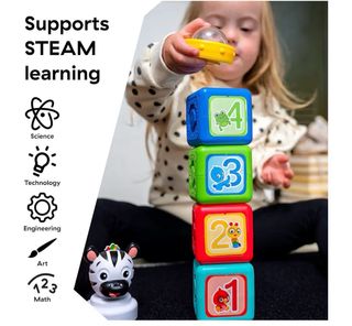 Baby Einstein Bloques Construcción Zebra