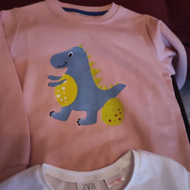 Conjunto Ropa Infantil Niña