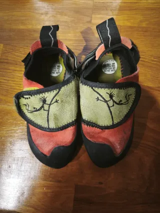 Pies de gato Boreal  niñ@