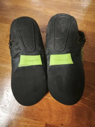 Pies de gato Boreal  niñ@