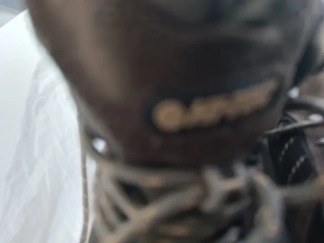 Botas de montaña Hi-Tec marrones