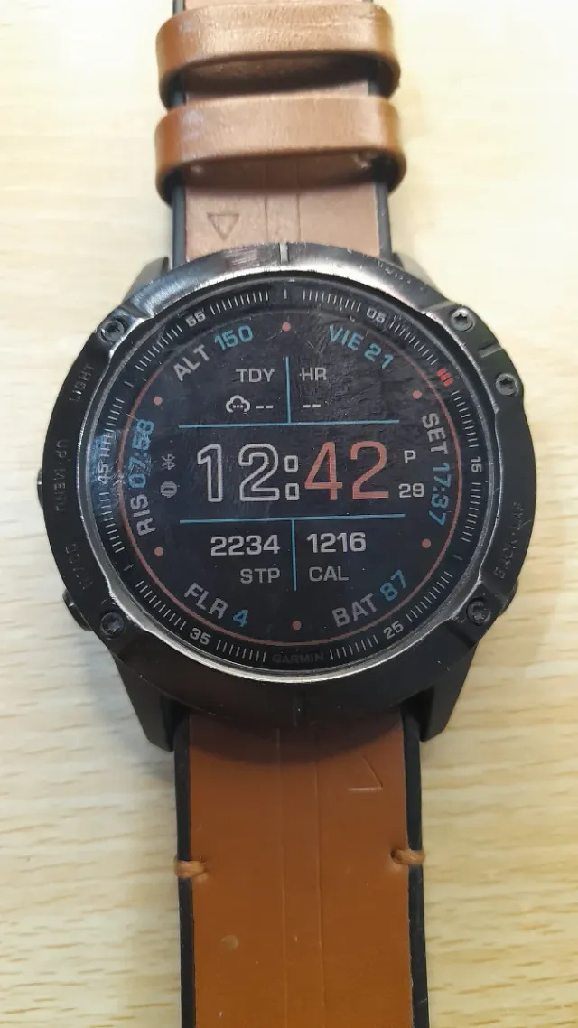 Garmin Fenix 6x Pro Smartwatch