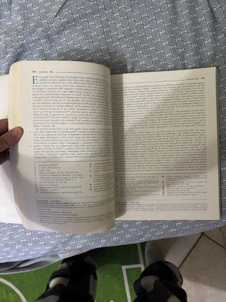 I promessi sposi versione integrale