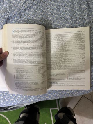 I promessi sposi versione integrale