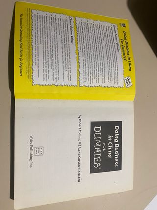Doing Business in China For Dummies
