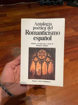 Lote de libros variados  Clásicos, novela romántic