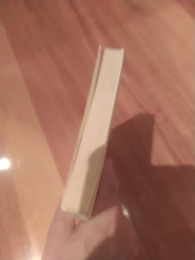 El puente de hierro ( Títulos en coedición y f...