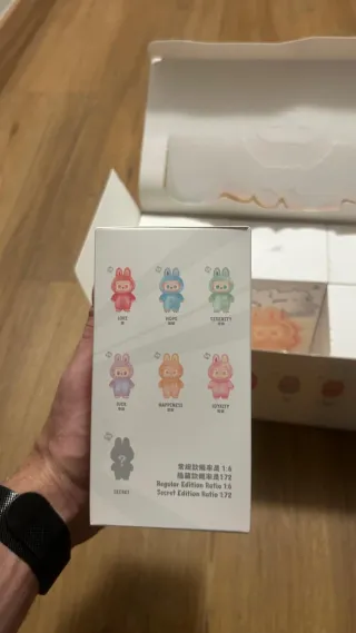 Labubu Big into Energy Blind Box