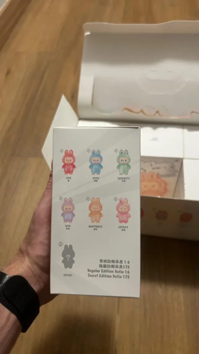 Labubu Big into Energy Blind Box