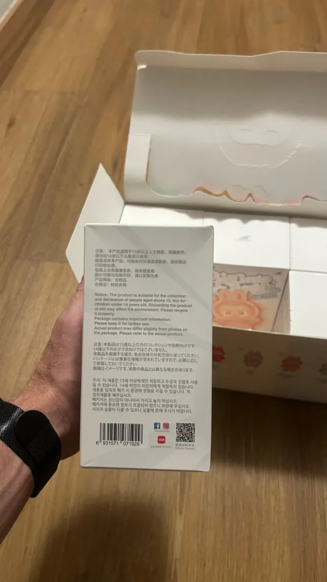 Labubu Big into Energy Blind Box