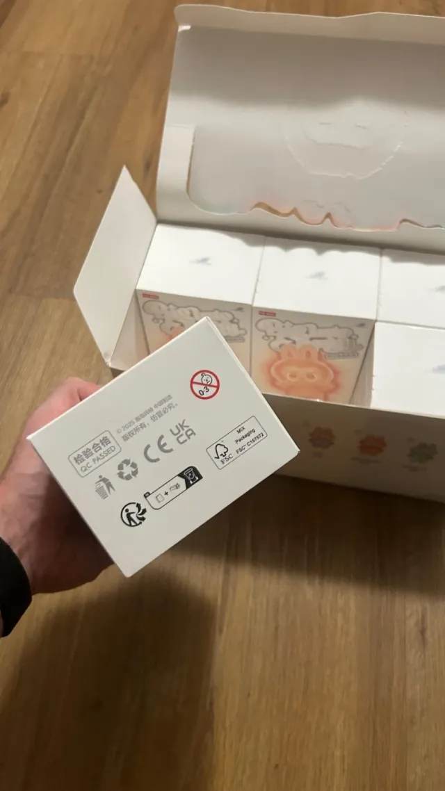 Labubu Big into Energy Blind Box